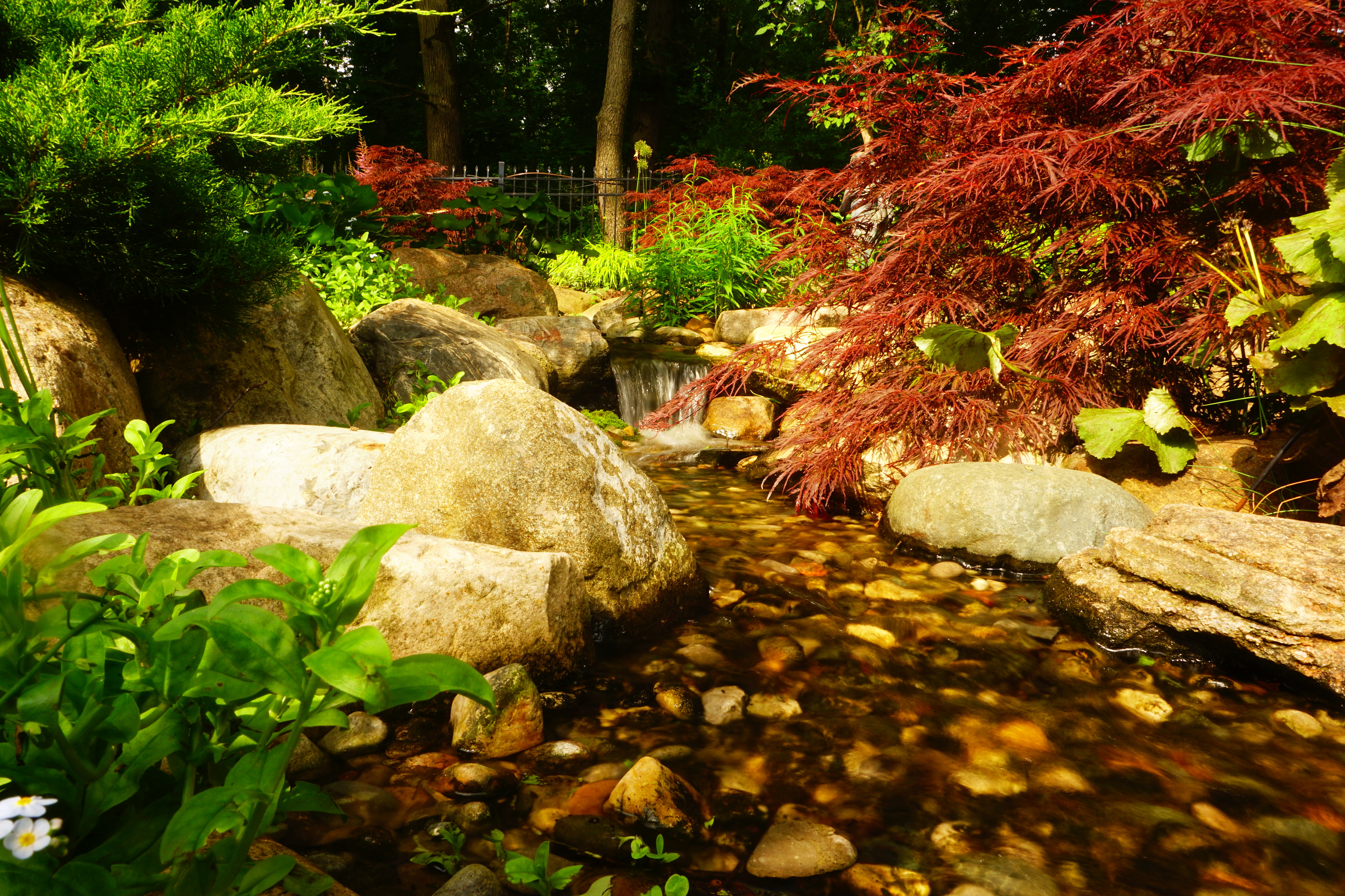 Stream