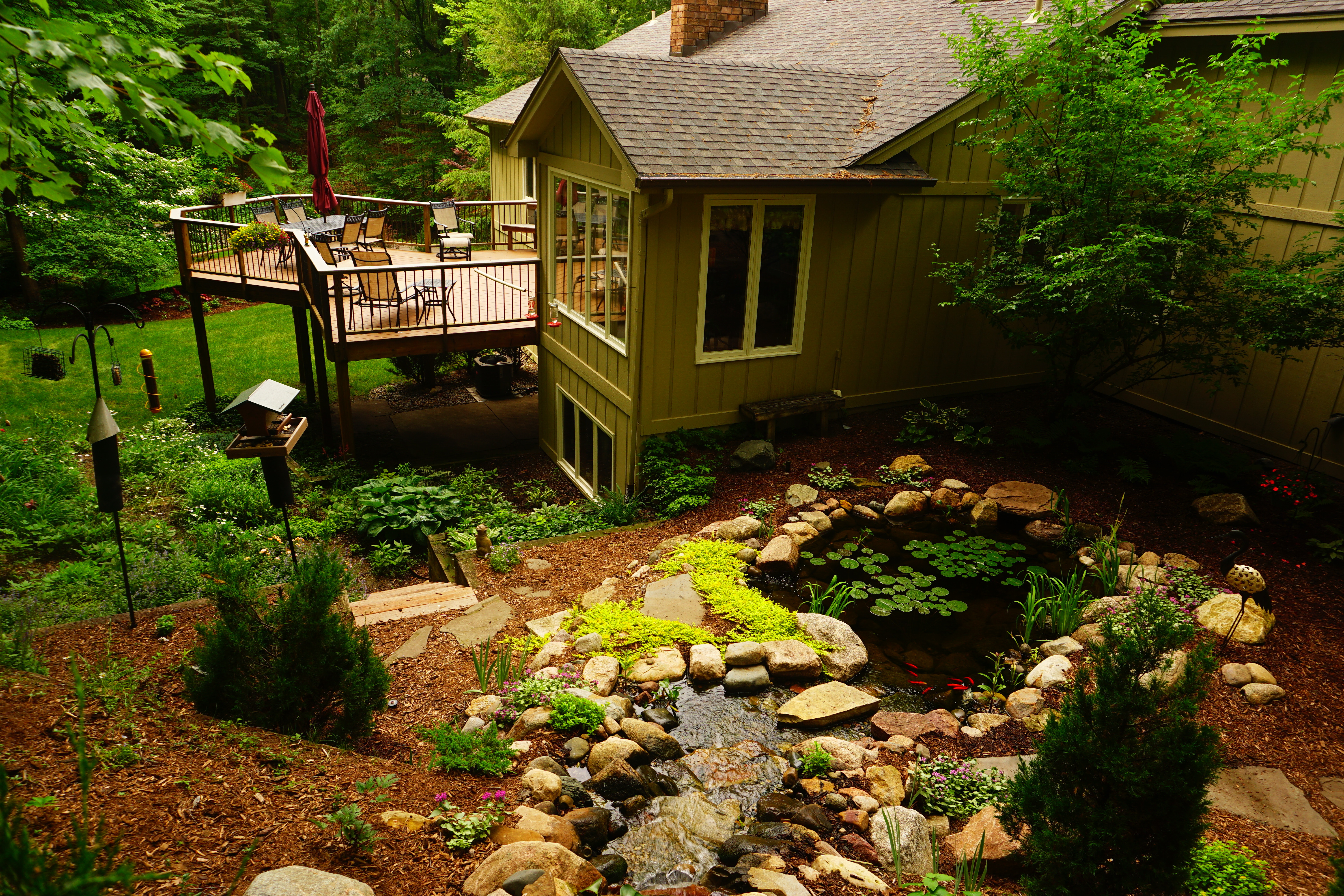 Backyard pond with Waterfall