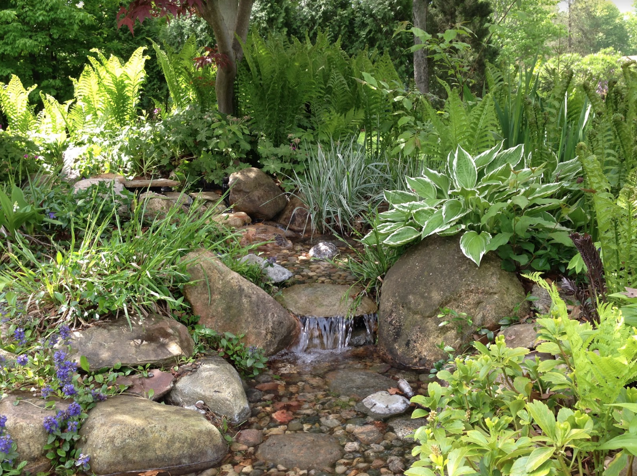 Hidden Waterfall