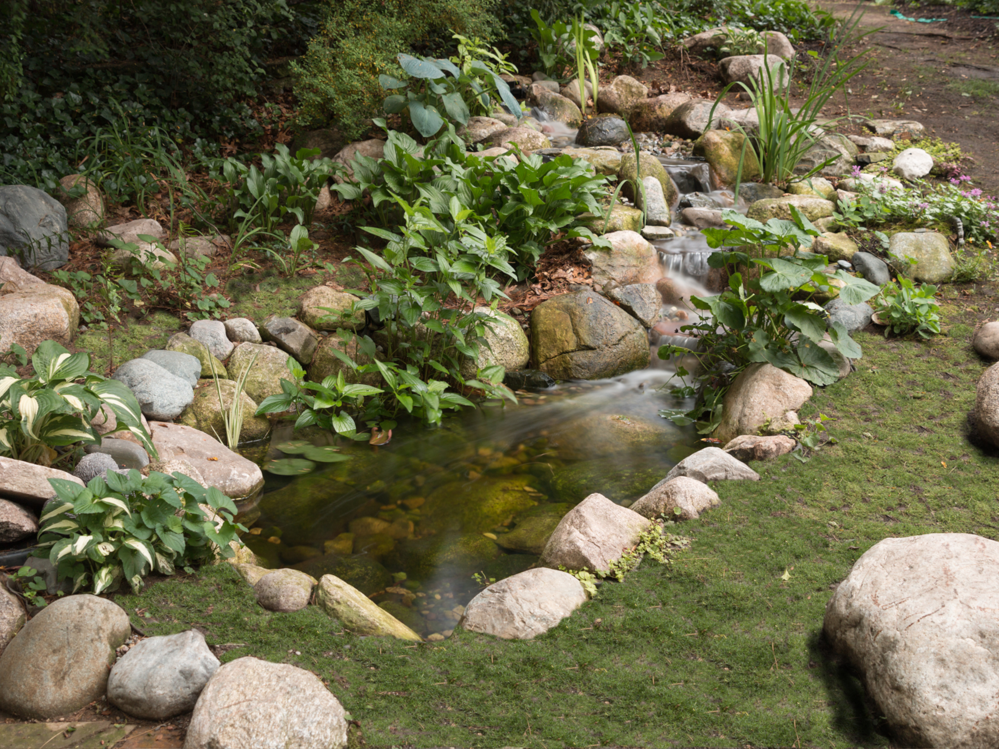Ponds