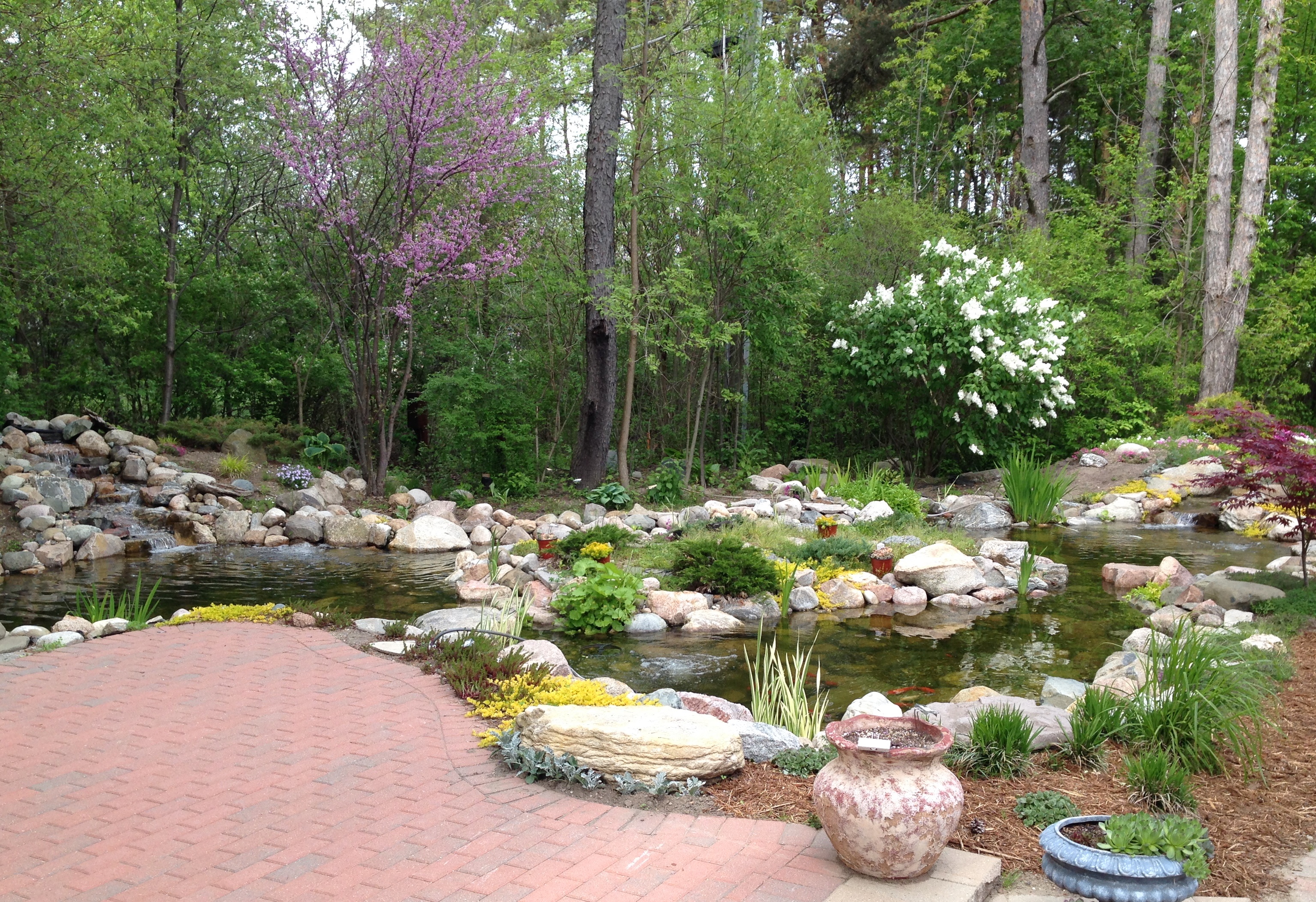 Pond with Island. St.Louis, MI