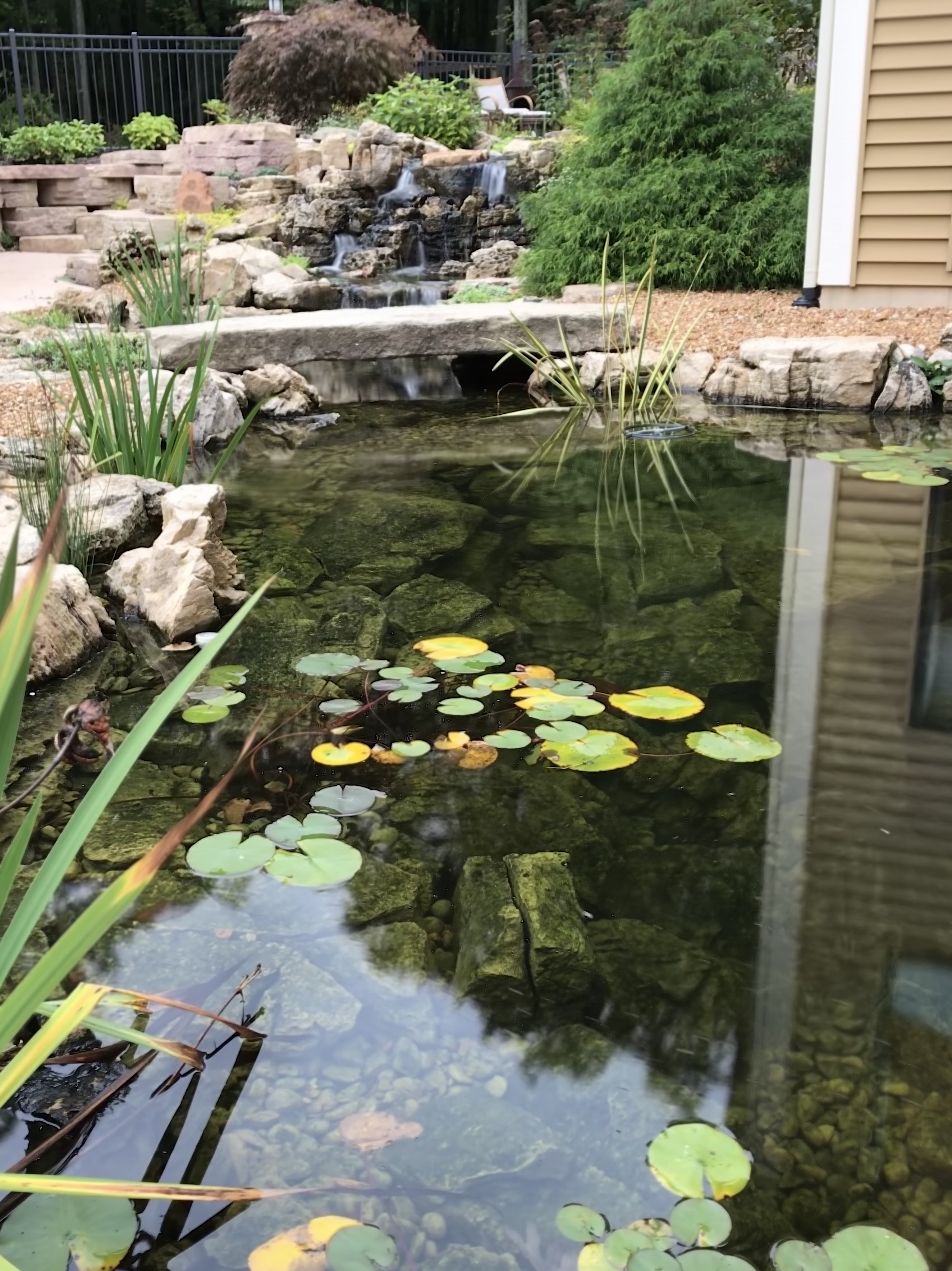 13ft Deep Limestone Koi Pond w/ Wetland Filter. Cascade, MI