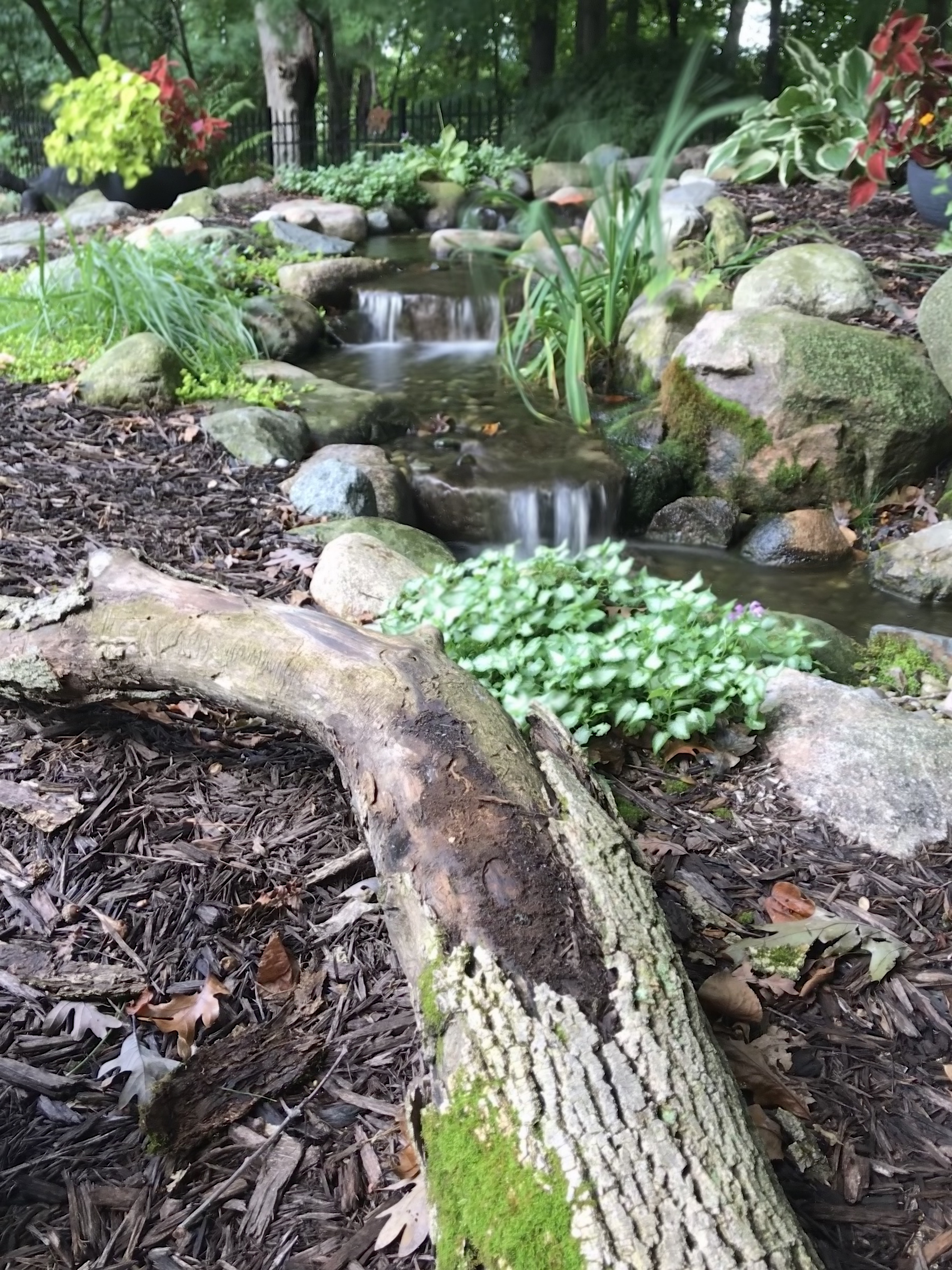 Pondless Waterfall. Grand Rapids, MI