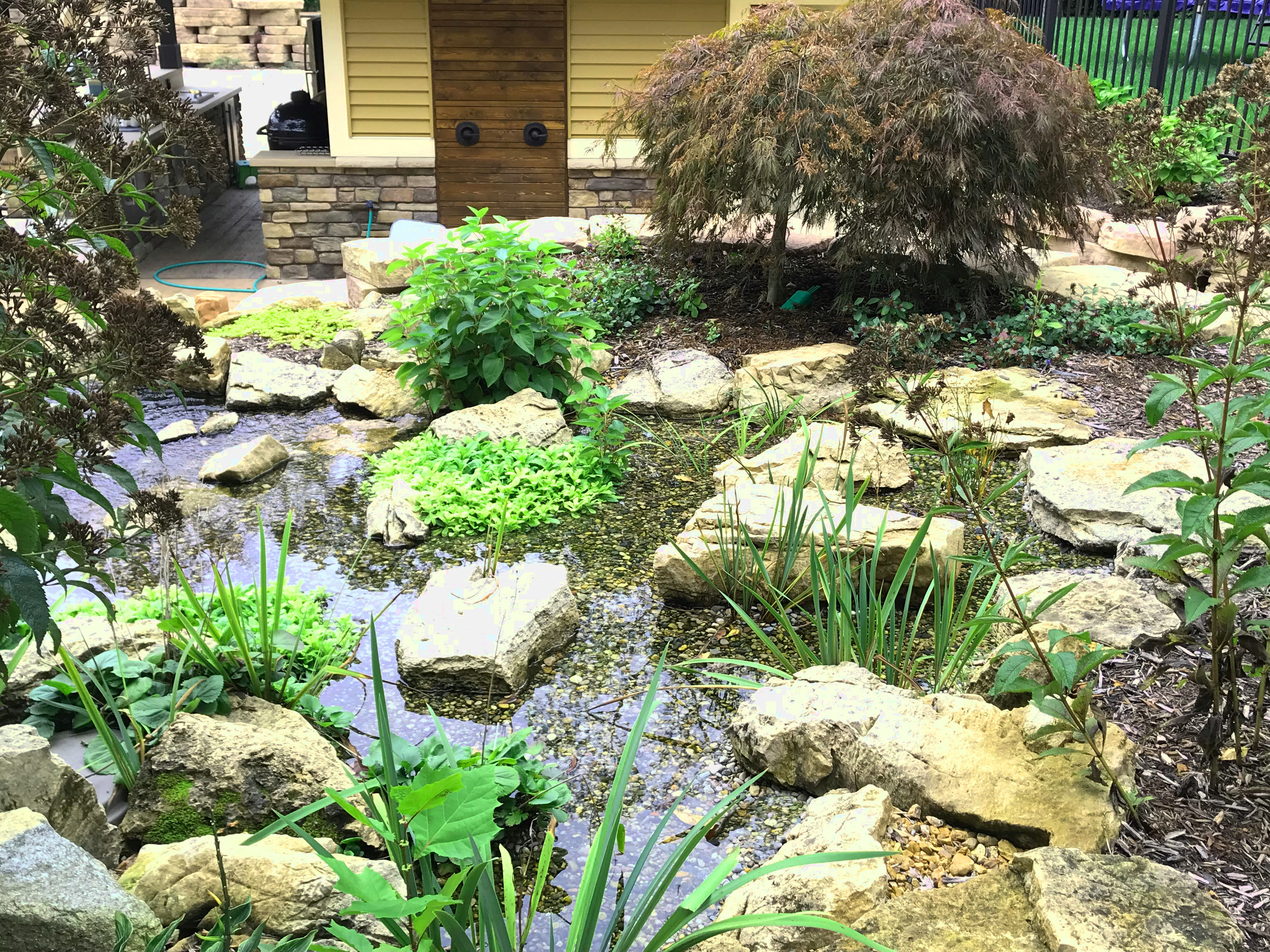 Limestone Koi Pond Wetland Filter. Cascade, MI